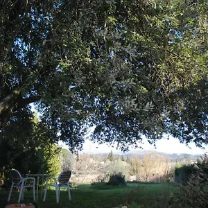 Apartment Fattoria Di Malavolta, Florence