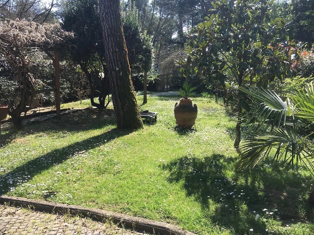 Old Town In The Green: Federico'S Apartment. Florencia
